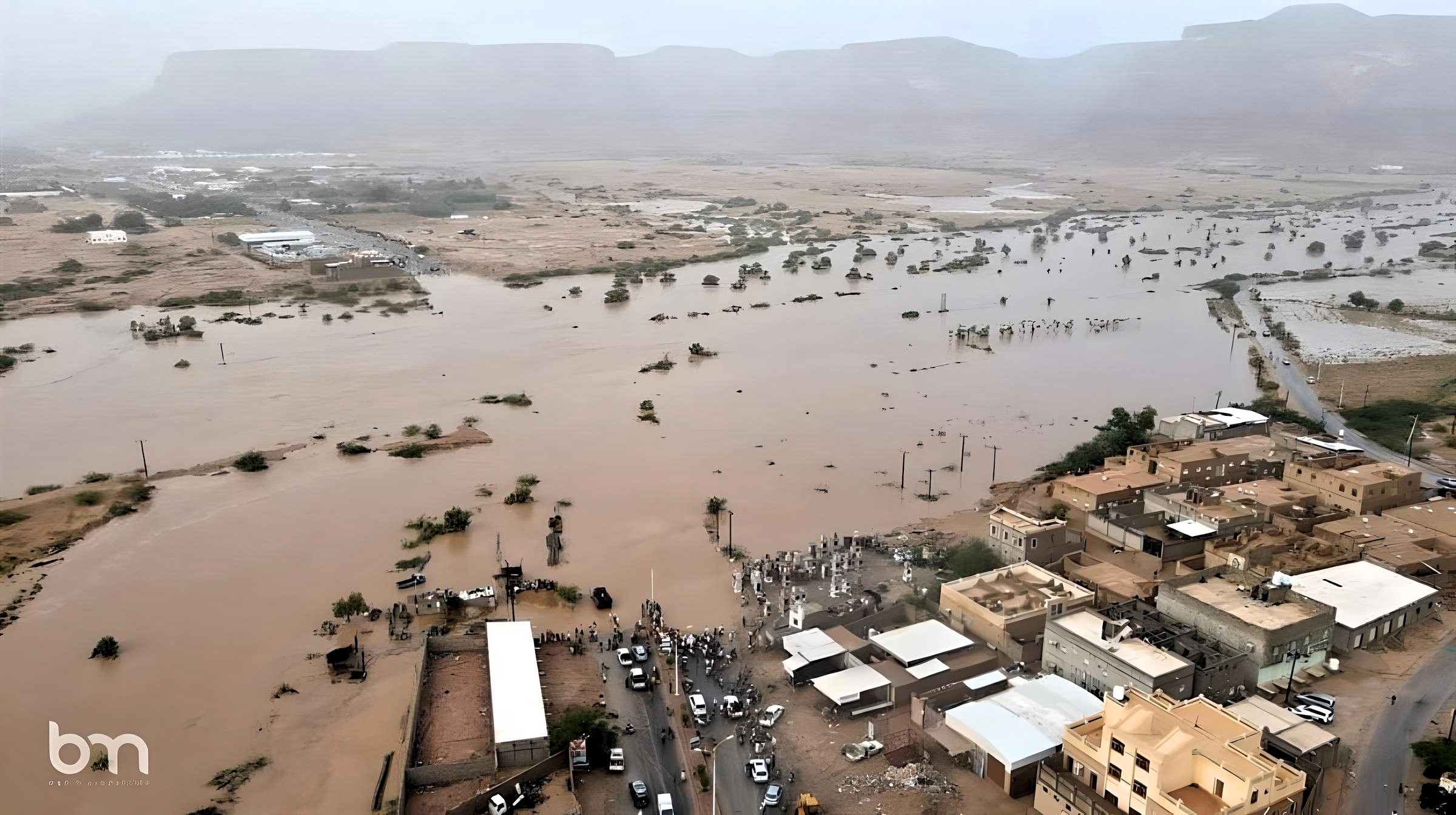 Hadramout and Al-Mahra: A Call to Action in the Face of Climate Catastrophe 