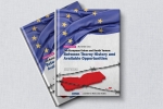 The EU and South Yemen: Between Thorny History and Available Opportunities