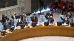 Arab and Yemeni Acclaim to Security Council Resolution 2624