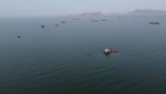 قنابل بيئية موقوتة تُهدَّد سواحل عدن 