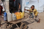 الأمم المتحدة: 20 مليون يمنى يعانون انعدام الأمن الغذائى