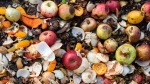 مؤشر الأغذية المُهدرة في الأمم المتحدة: 900 مليون طن من الطعام ترمى في النفايات سنويا