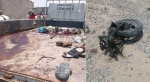 31 Dead and Wounded in A «Terrorist» Attack in South Yemen (Updated)